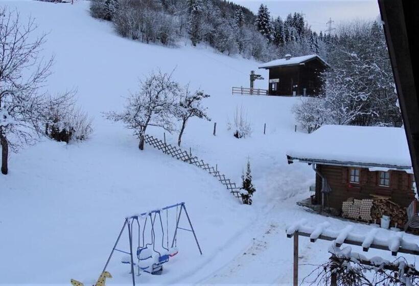 סוויטה משפחתית 2 חדרי שינה, Alpinresort Derbacherhof