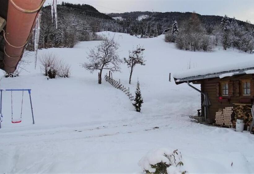 Апартаменты 1 Спальня, Alpinresort Derbacherhof