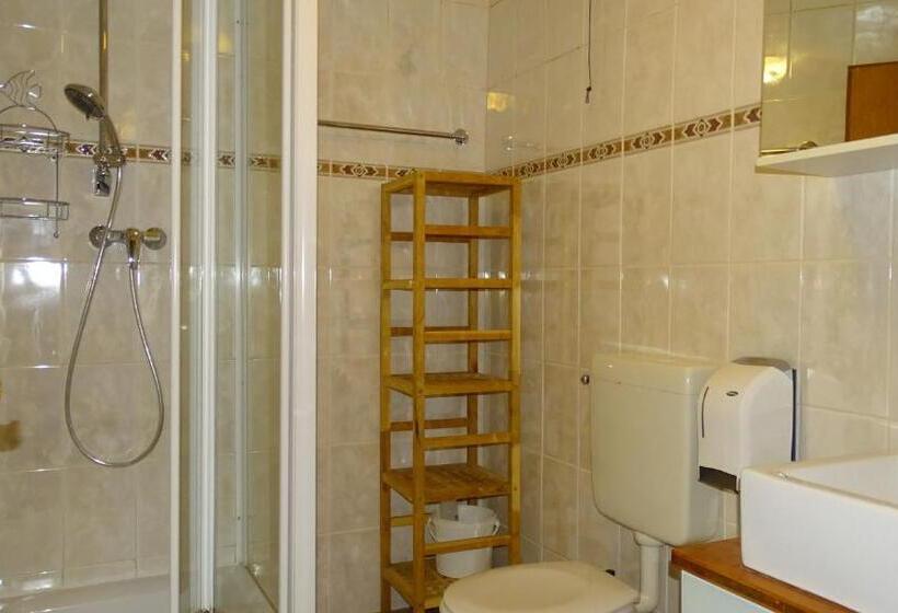 Апартаменты 1 Спальня, Alpinresort Derbacherhof