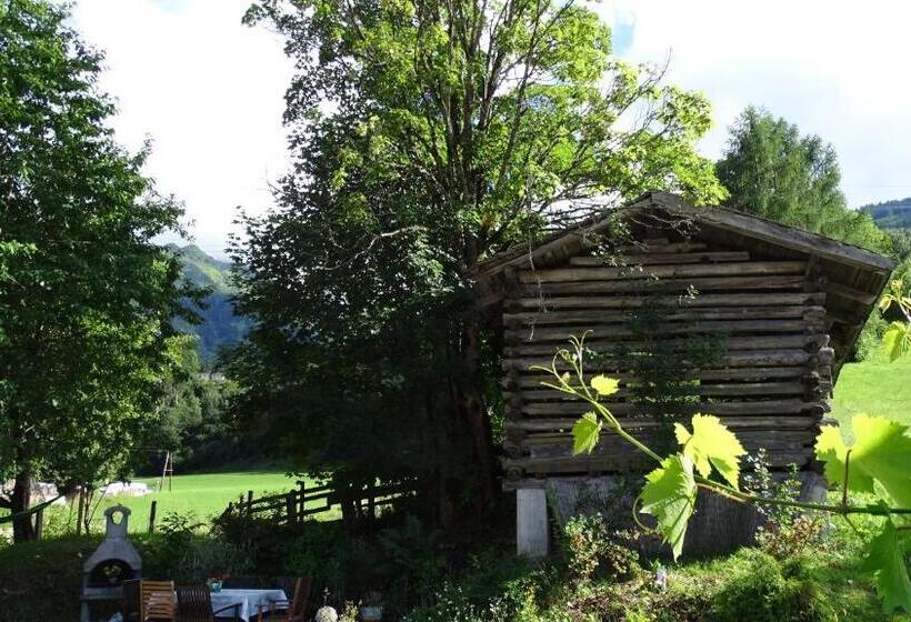 Апартаменты 1 Спальня, Alpinresort Derbacherhof
