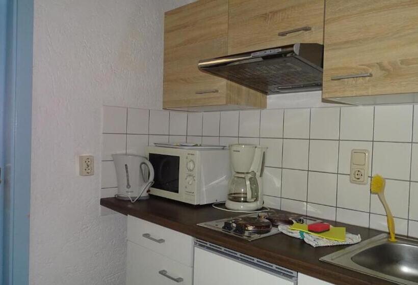 דירת חדר, Alpinresort Derbacherhof