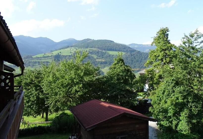 דירת חדר, Alpinresort Derbacherhof