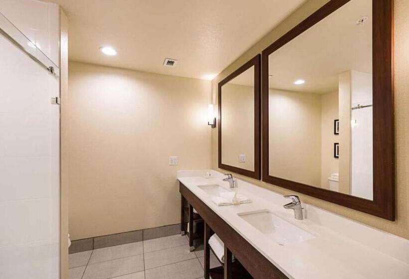스위트, Comfort Suites Greenville South