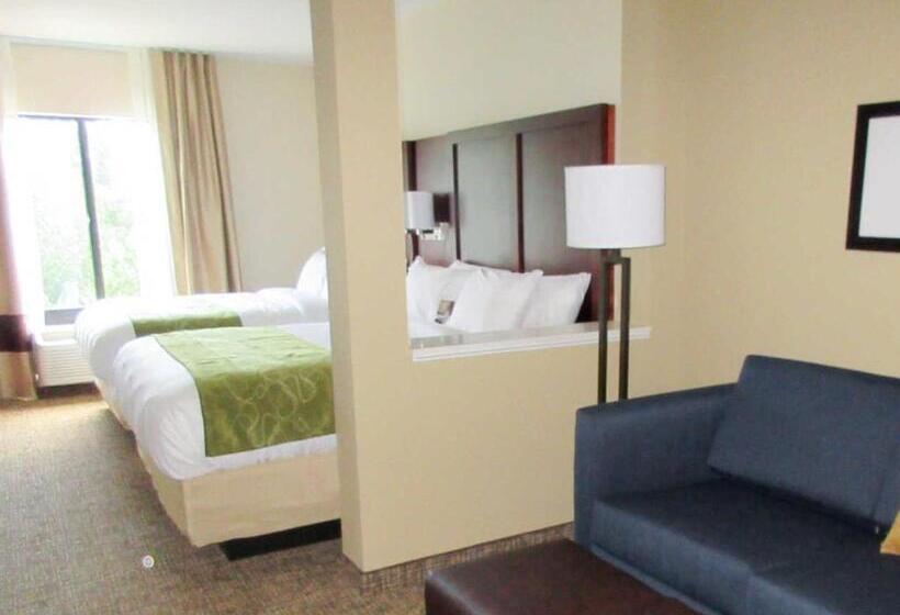 جناح, Comfort Suites Greenville South