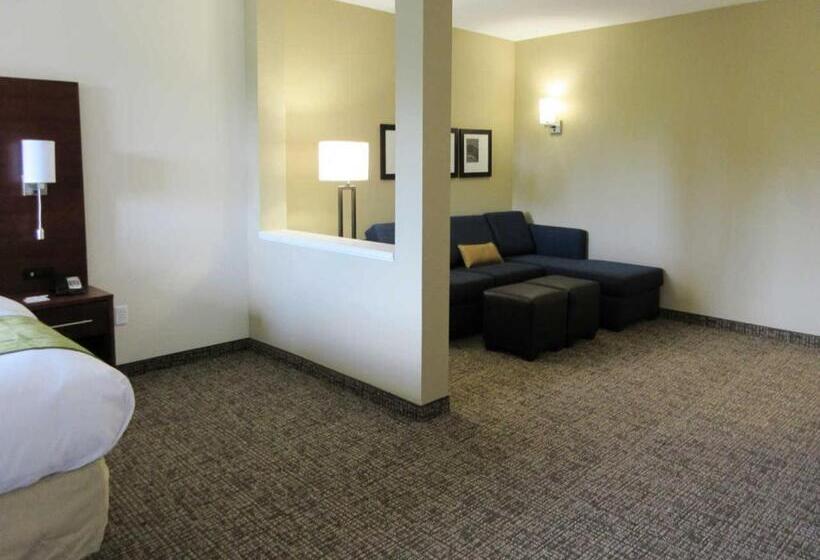 جناح سرير كينج, Comfort Suites Greenville South