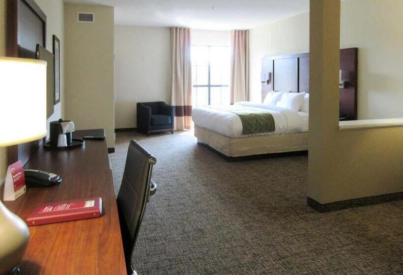 جناح سرير كينج, Comfort Suites Greenville South