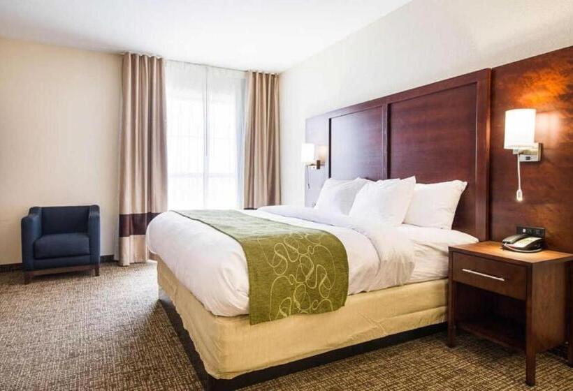 스위트 킹사이즈 침대, Comfort Suites Greenville South