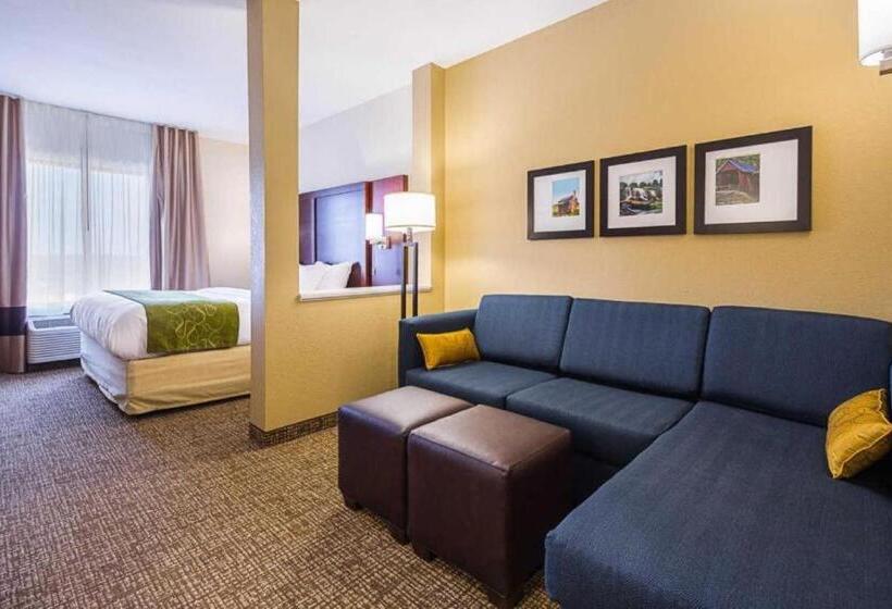 جناح سرير كينج, Comfort Suites Greenville South