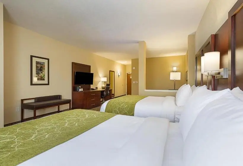 身障者適用スイートルーム, Comfort Suites Greenville South