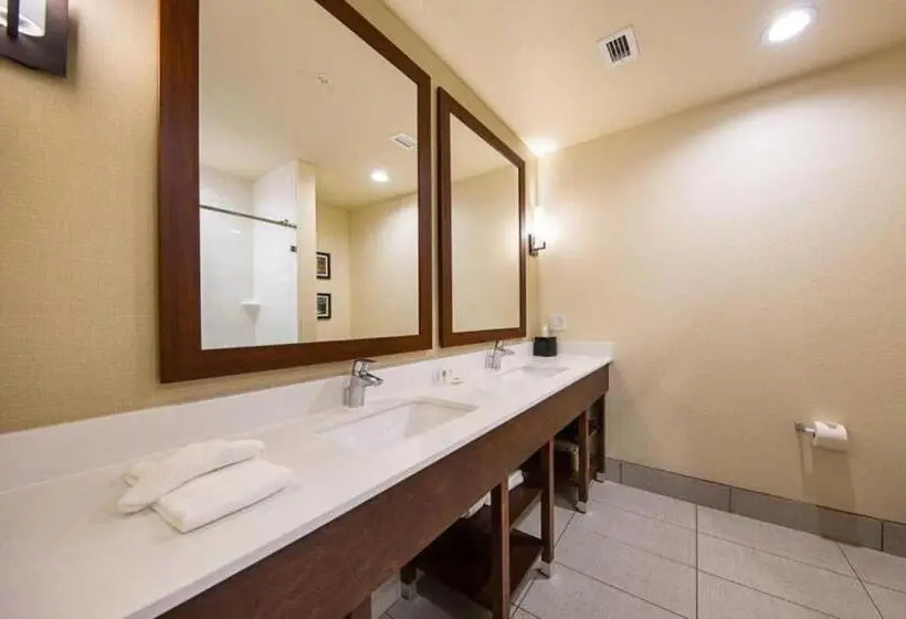 身障者適用スイートルーム, Comfort Suites Greenville South