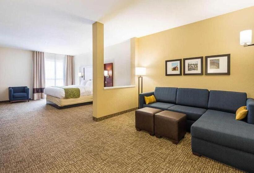 جناح لذوى الاحتياجات الخاصة, Comfort Suites Greenville South