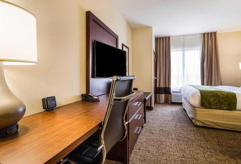 جناح لذوى الاحتياجات الخاصة, Comfort Suites Greenville South