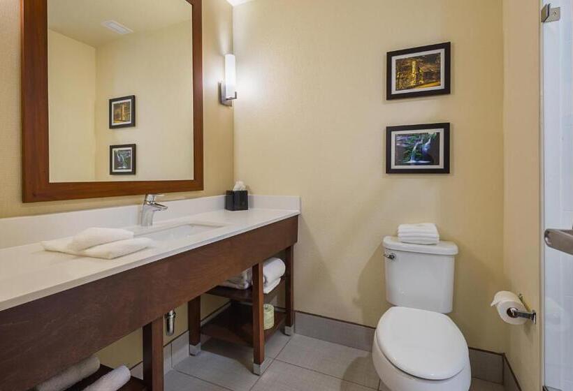 스위트 킹사이즈 침대, Comfort Suites Greenville South