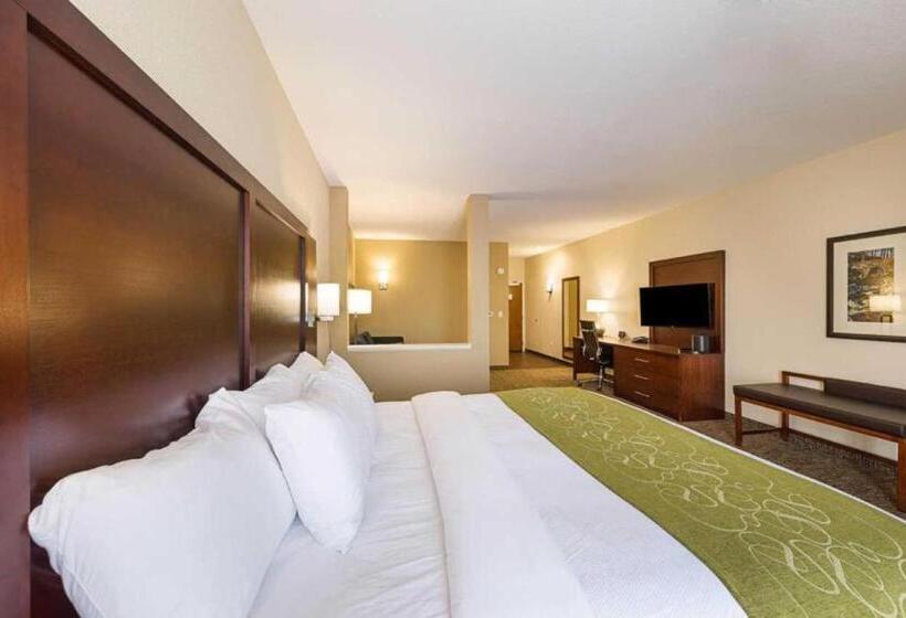 身障者適用スイートルーム, Comfort Suites Greenville South