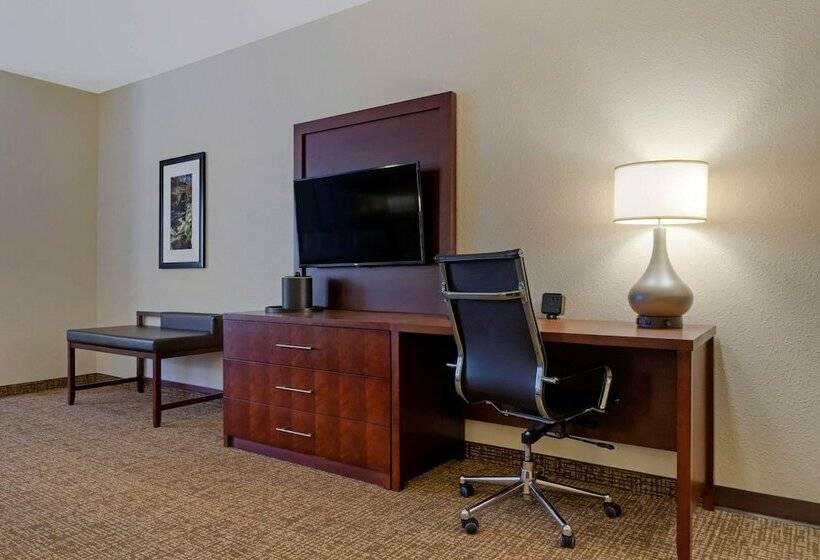 스위트, Comfort Suites Greenville South