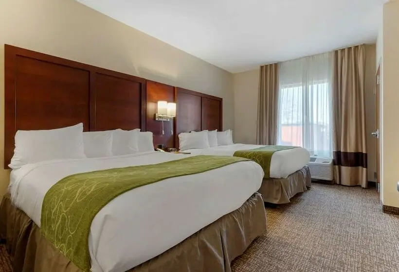 スイート, Comfort Suites Greenville South