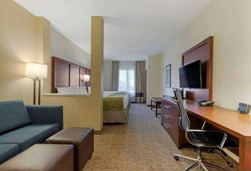 スイート, Comfort Suites Greenville South
