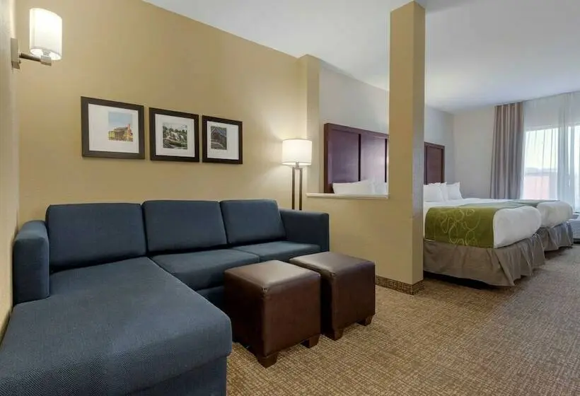 スイート, Comfort Suites Greenville South