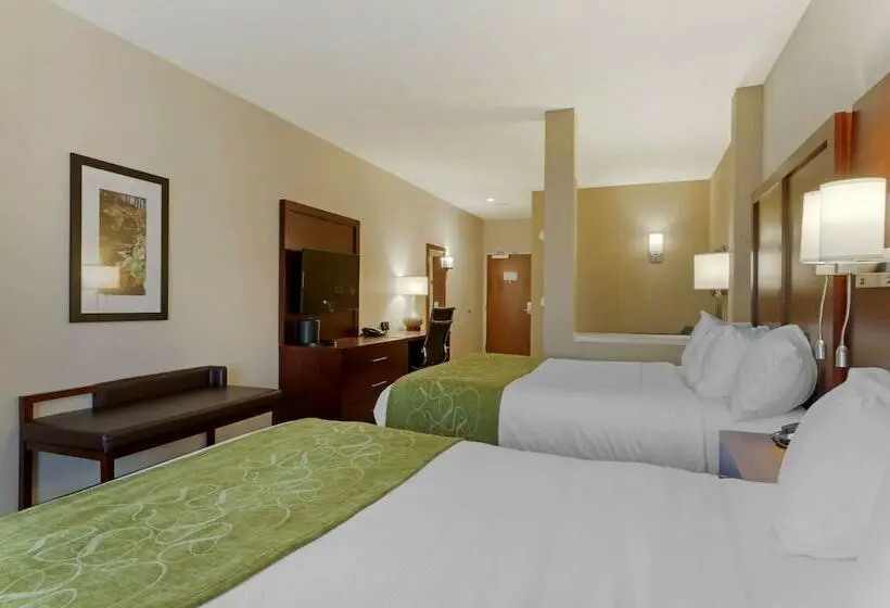スイート, Comfort Suites Greenville South