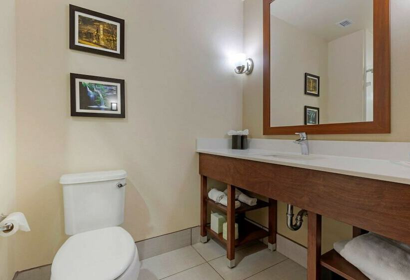 جناح, Comfort Suites Greenville South