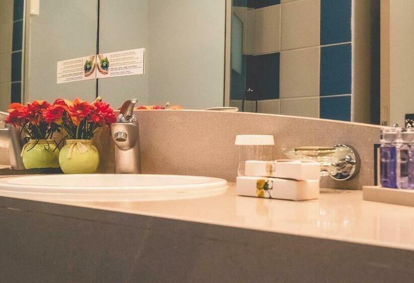 اتاق استاندارد, Des Roches