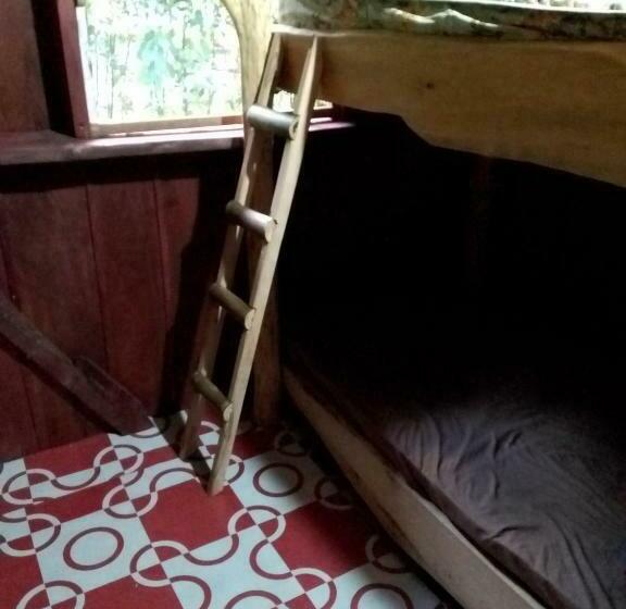 اتاق استاندارد, Natty Tropical Valley