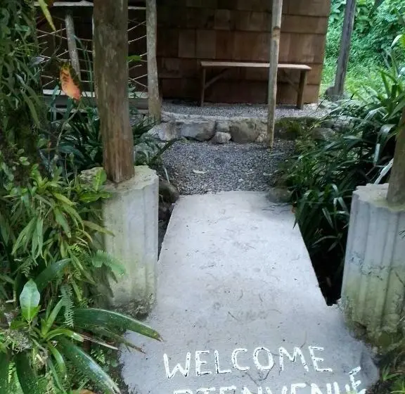 اتاق استاندارد, Natty Tropical Valley