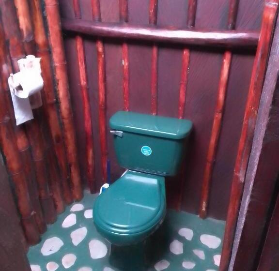 اتاق استاندارد, Natty Tropical Valley