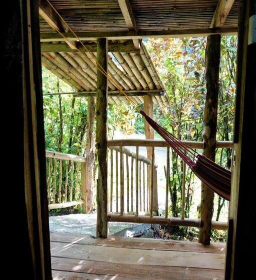 بانگلوی استاندارد, Natty Tropical Valley