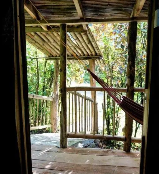 بانگلوی استاندارد, Natty Tropical Valley