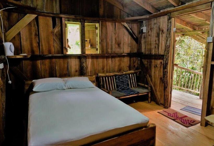 بانگلوی استاندارد, Natty Tropical Valley