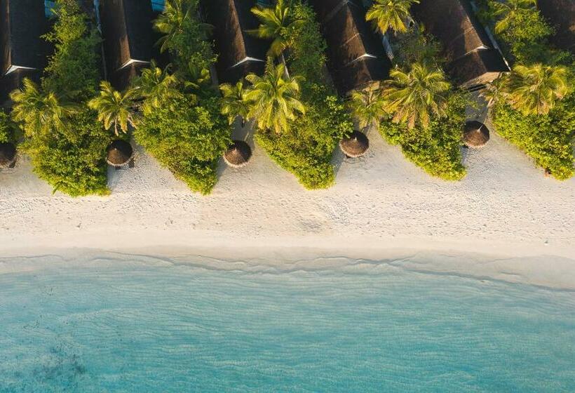 ویلای 1 خوابه, Ozen Life Maadhoo  Luxury All Inclusive