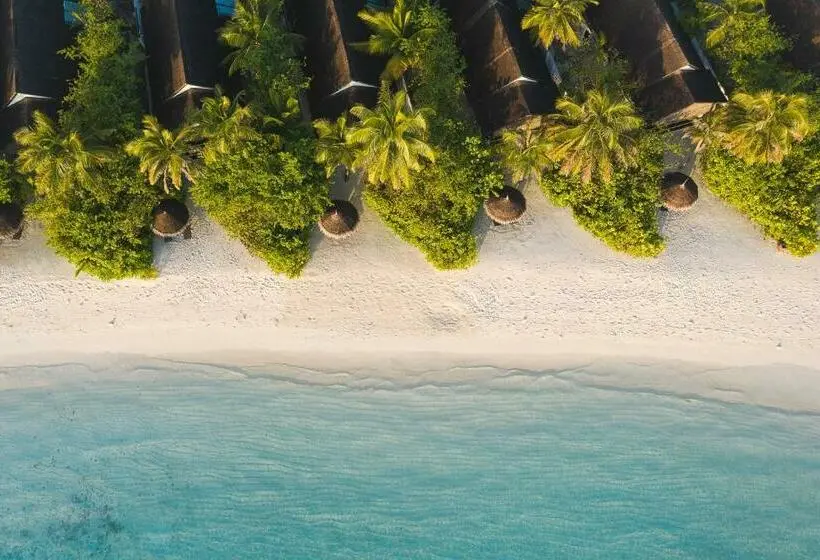 ویلای 1 خوابه, Ozen Life Maadhoo Luxury All Inclusive