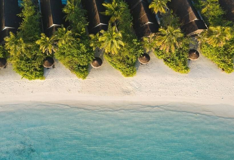 ویلای 1 خوابه, Ozen Life Maadhoo  Luxury All Inclusive