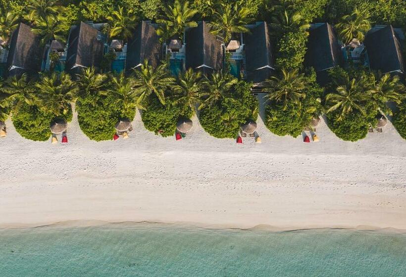 ویلای یک اتاق خوابه با استخر شنا, Ozen Life Maadhoo  Luxury All Inclusive