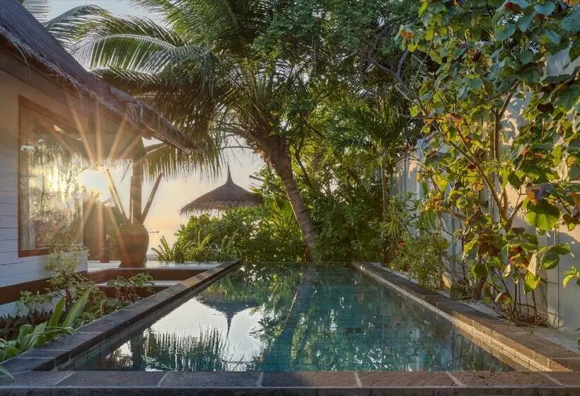 ویلای یک اتاق خوابه با استخر شنا, Ozen Life Maadhoo Luxury All Inclusive