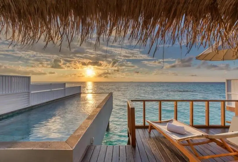 ویلای یک اتاق خوابه با استخر شنا, Ozen Life Maadhoo Luxury All Inclusive