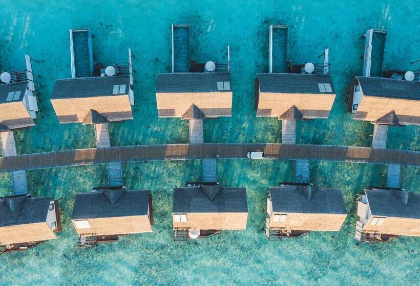 ویلای 1 خوابه, Ozen Life Maadhoo  Luxury All Inclusive