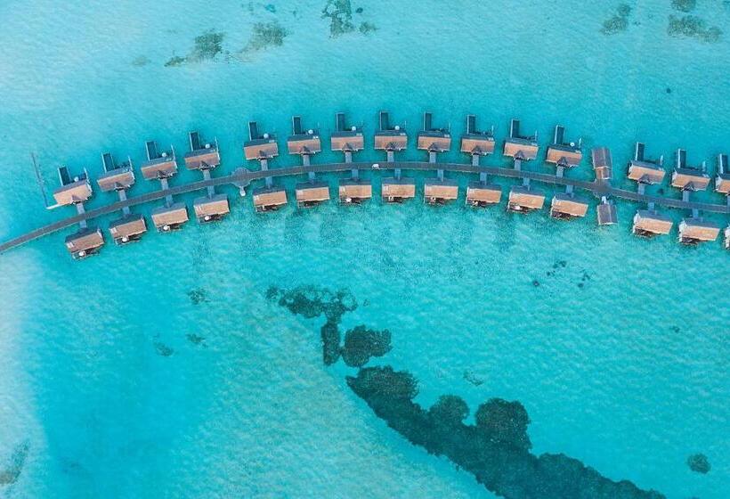 ویلای یک اتاق خوابه با استخر شنا, Ozen Life Maadhoo  Luxury All Inclusive