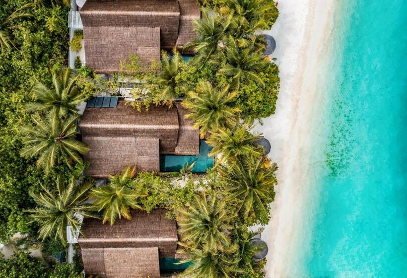 سوئیت 2 خوابه, Ozen Life Maadhoo  Luxury All Inclusive