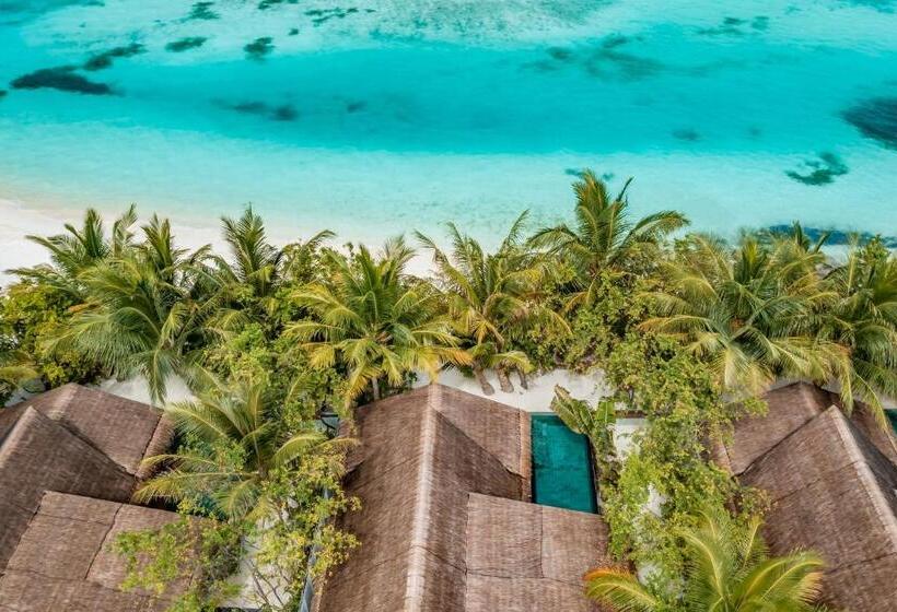 سوئیت 2 خوابه, Ozen Life Maadhoo  Luxury All Inclusive