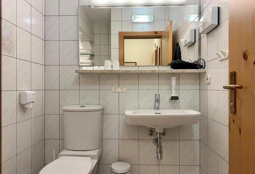 סטודיו סטנדרט עם מרפסת, Gansl Hotel & Residences Zell Am See Saalbach Leogang Smart Choice