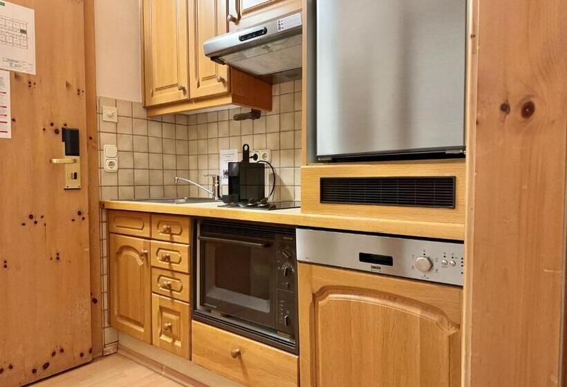 סטודיו סטנדרט עם מרפסת, Gansl Hotel & Residences Zell Am See Saalbach Leogang Smart Choice