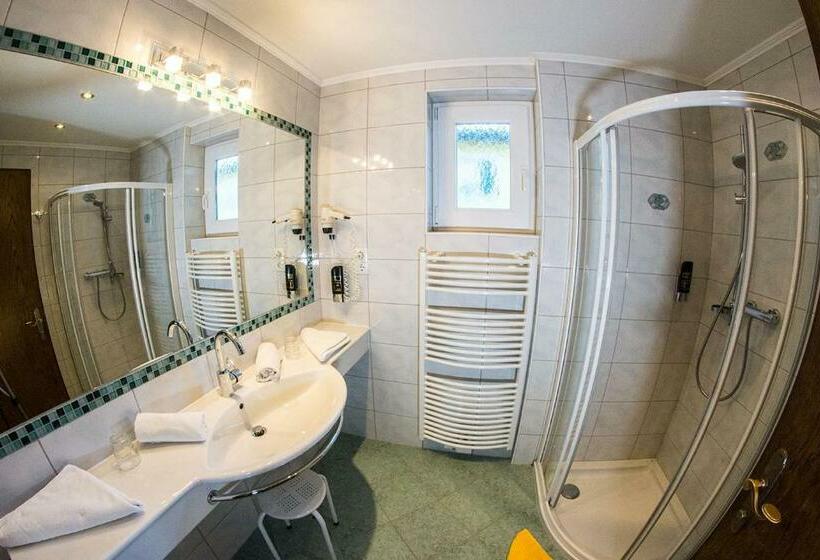 Номер Стандарт с Балконом, Seehotel Steiner