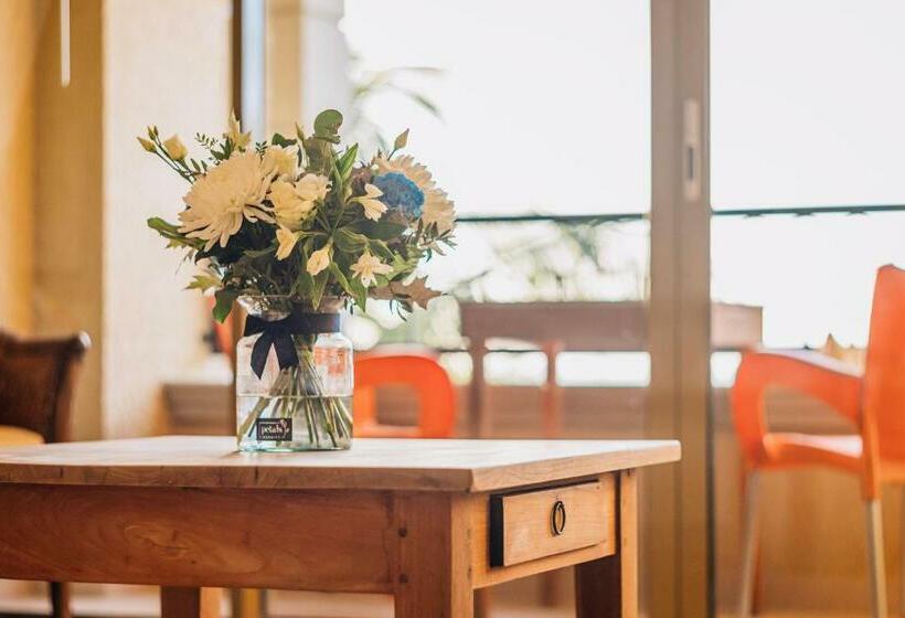 سوییت جونیور, The Bellafonte Luxury Oceanfront