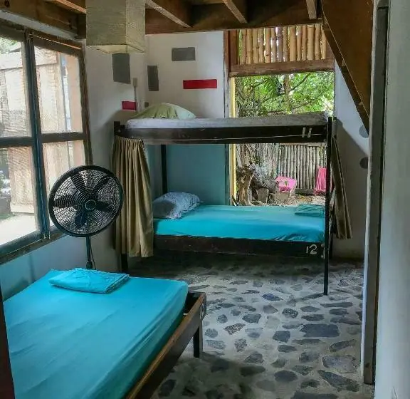 ルームシェアのワンベッド, Bella's Backpackers Cayo