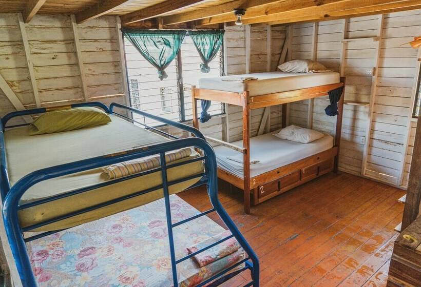 تختخواب در اتاق مشترک, Bella's Backpackers Cayo
