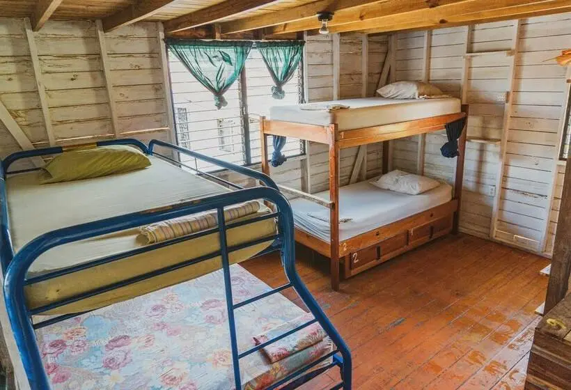 ルームシェアのワンベッド, Bella's Backpackers Cayo