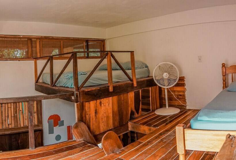 تختخواب در اتاق مشترک, Bella's Backpackers Cayo