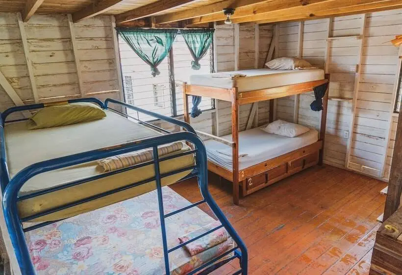 ルームシェアのワンベッド, Bella's Backpackers Cayo